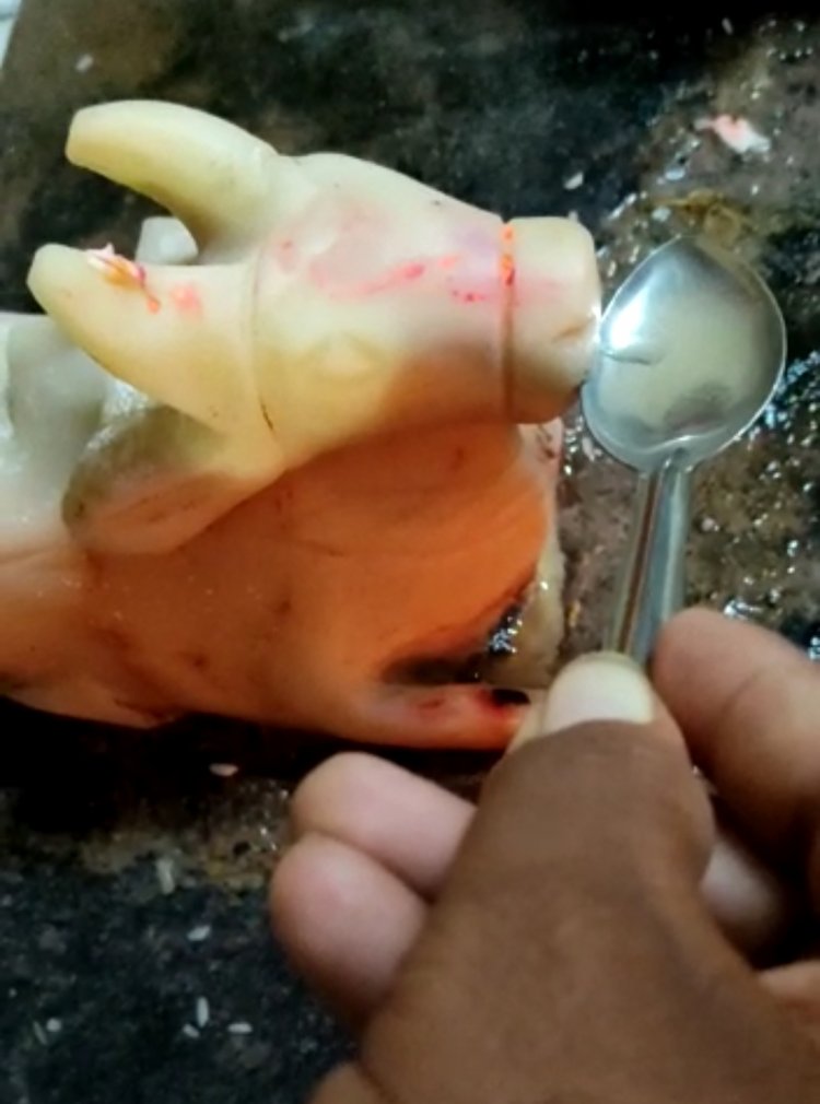 चमत्कार: जब भिलाई के एक मंदिर में नंदी बैल पीने लगा पानी...