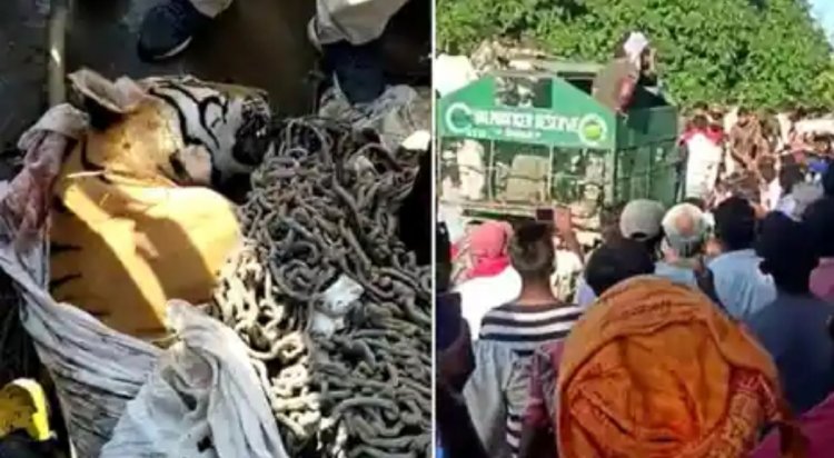 आखिरकार मारा गया 10 लोगों की जान लेने वाला आदमखोर बाघ