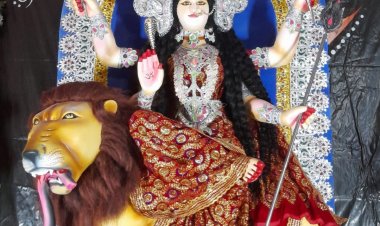 सेक्टर 6 कालीबाड़ी में माँ जगधात्री देवी की प्रतिमा स्थापित कर पूजा अर्चना कल