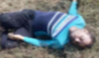 हाईटेंशन तार की चपेट में आने से ट्रेलर चालक की मौत