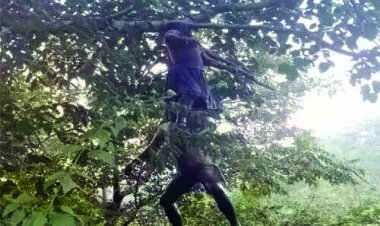 पेड़ पर लटकी मिली प्रेमी-प्रेमिका की सड़ी गली लाश