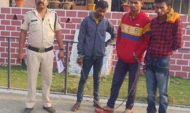 सीमेंट फैक्ट्री में चोरी करने वाले तीन गिरफ्तार