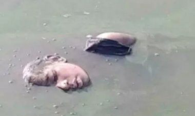 तालाब में मिला छठवीं के छात्र का शव, जांच में जुटी पुलिस