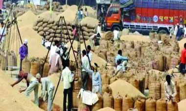 धान खरीदी में पंजीयन घोटाला, दो कर्मचारी सस्पेंड, 2 के खिलाफ अपराध दर्ज