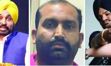 भगवंत मान के दावे पर सवाल