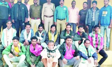 पेड़ों की कटाई मामले में 12 लोगों को भेजा जेल