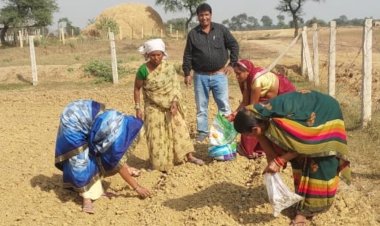 सामुदायिक बाड़ियों में आलू की खेती आरंभ, जमराव में आज हुई बुवाई