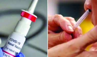 कोरोना के खिलाफ सरकार की बड़ी तैयारी, आज से लगेगी नेजल वैक्सीन