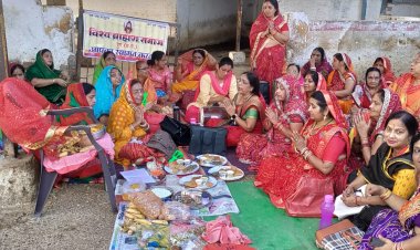 छतागढ़ गौशाला पहुंच विश्व ब्राह्मण समाज ने की गौ सेवा, भक्ति भाव से किया हनुमान चालीसा का पाठ