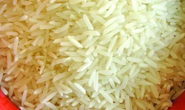 यूक्रेन में चावल भेजने के नाम पर छत्तीसगढ़ के व्यापारी से 27.48 लाख की ठगी