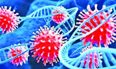 छत्तीसगढ़ में कोरोना के कुल 9 एक्टिव मरीज