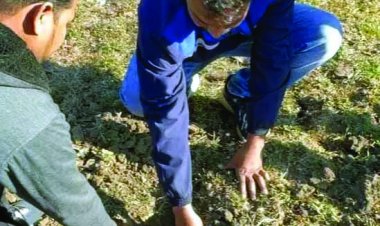 जवानों ने बरामद किया घातक आईईडी