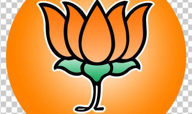 भाजपा जिला अध्यक्ष जितेन्द्र वर्मा ने की दुर्ग जिला कार्यकारिणी की घोषणा