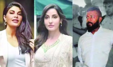 तिहाड़ जेल से मिठाई के डिब्बे में कैश लेकर लौटती थी ऐक्ट्रेसज