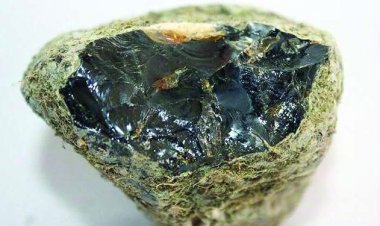 5.5 करोड़ कीमत का एम्बरग्रीस बरामद