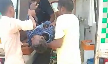 शिवरत्रि के लिए मूर्ति लेने जा रही कार पेड़ से जा टकराई, एक की मौत, देखे वीडियो