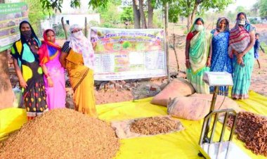 लघु वनोपज संग्रहण में छत्तीसगढ़ अव्वल, प्रदेश में हो रही है 65 लघु वनोपजों की समर्थन मूल्य पर खरीदी