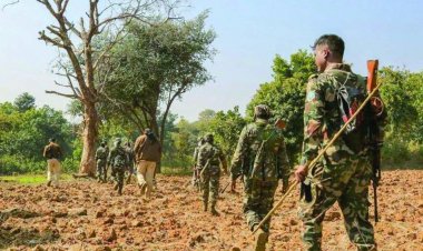 छत्तीसगढ़ के सुकमा में पुलिस और नक्सलियों के बीच मुठभेड़ में तीन जवान शहीद, मारे गए 7 नक्सली