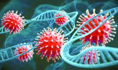 वुहान लैब में दुर्घटना का परिणाम है कोरोना वायरस, अमेरिका के ऊर्जा विभाग ने किया नया खुलासा