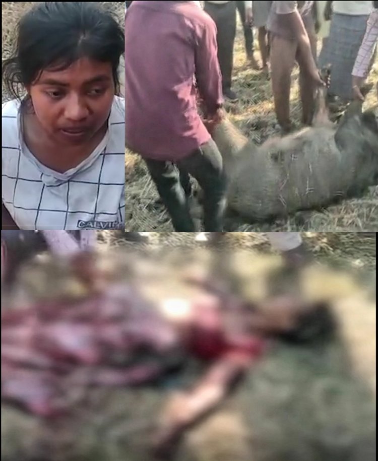बेटी को बचाने जंगली सूअर से भीड़ गई मां, सूअर को तो मार दी लेकिन खुद को भी नहीं बचा सकी