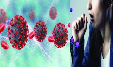 इन्फ्लुएंजा वायरस से देश में अब तक 6 लोगों की मौत, कोरोना के बाद H3N2 वायरस का कहर