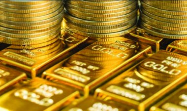 6.62 किलो सोने के साथ कोयंबटूर हवाई अड्डे पर पकड़े गए 11 लोग