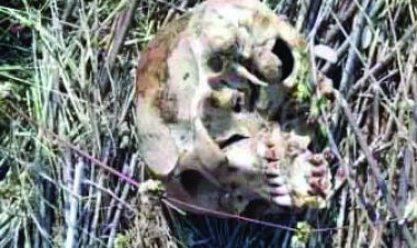 नर कंकाल मिलने से गांव में फैली सनसनी