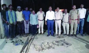 6 जंगली बिल्ली और 2 कबर बिज्जू को मारने वाले 9 आरोपी गिरफ्तार