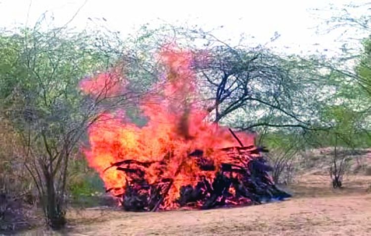 एक ताने से उजड़ गया परिवार, 7 लोगों का एक ही चिता पर अंतिम संस्कार
