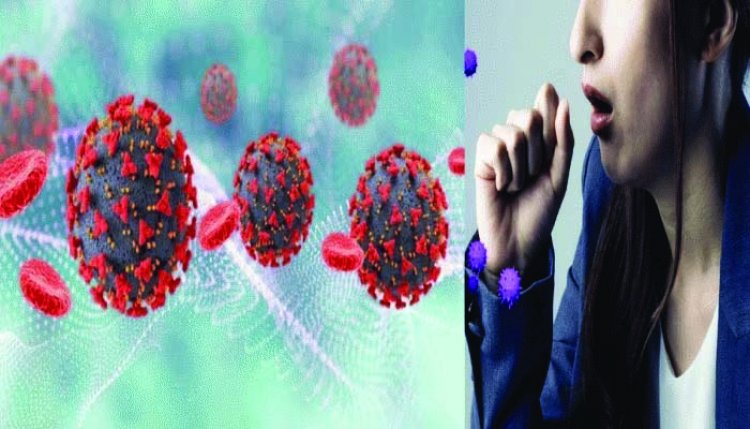 इन्फ्लुएंजा वायरस से देश में अब तक 6 लोगों की मौत, कोरोना के बाद H3N2 वायरस का कहर