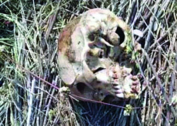 नर कंकाल मिलने से गांव में फैली सनसनी
