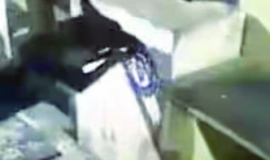 आंध्र प्रदेश के मुख्यमंत्री का पोस्टर फाड़ने पर कुत्ते के खिलाफ एफआईआर दर्ज, गिरफ्तारी की मांग