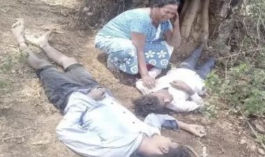 गाज गिरने से एक ही परिवार के दो युवकों की हुई मौत