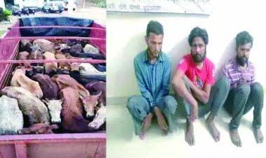 मवेशियों को कत्लखाने ले जाते ट्रक सहित 3 गिरफ्तार