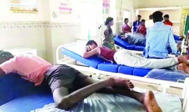 मधुमक्ख्यिों के हमले से कई गंभीर