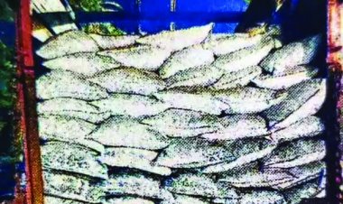 रायपुर के पास ट्रक में मिला 1.05 करोड़ का गांजा