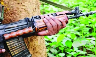 डीआरजी जवानों और नक्सलियों के बीच मुठभेड़ में दो नक्सली ढेर