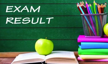 छत्तीसगढ़ बोर्ड 10वीं-12वीं का रिजल्ट जारी