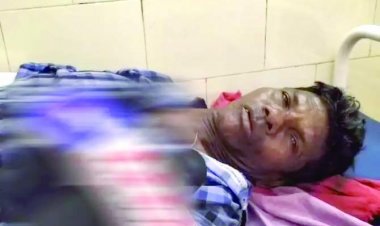 बाघ के हमले में बुजुर्ग घायल