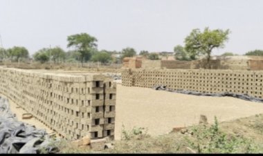 कचांदुर में हो रहा है 6 अवैध ईंट भट्ठों का संचालन, सोना उगलने वाली जमीन हो गई है बंजर