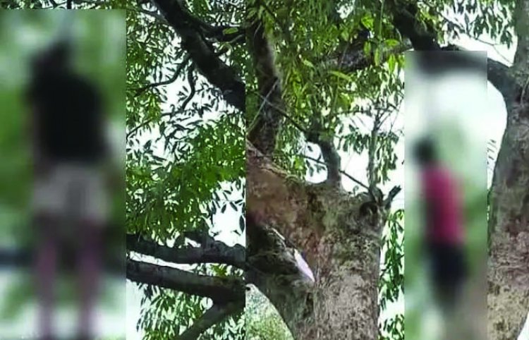 2 दोस्तों की एक ही पेड़ में लटकी मिली लाश