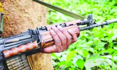 मुठभेड़ में कई नक्सली हुए घायल