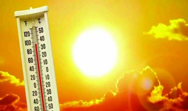 प्रदेश के 9 जिलों में हिट वेव का अलर्ट जारी