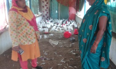 नारधा गौठान बना महिलाओं के लिए रोजगार का जरिया