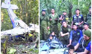 विमान हादसे के 40 दिन बाद अमेजन के जंगलों में जिंदा मिले 4 बच्चे