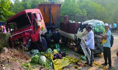 ट्रेलर और पिकअप में टक्कर, 1 की मौत