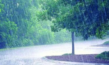 मुंबई में अलर्ट, हिमाचल और उत्तराखंड में चेतावनी; दुर्ग जिले में अब तक हुई 140.2 मिमी औसत वर्षा