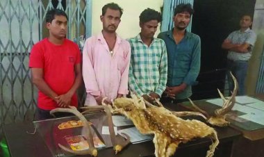 हिरण सिंग और खाल के साथ 4 गिरफ्तार