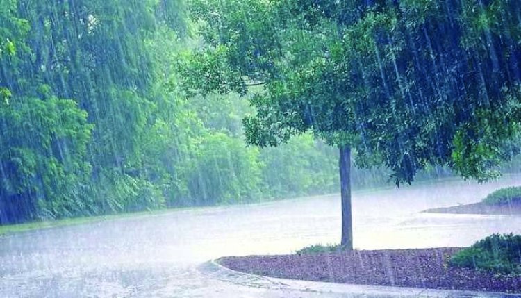 मुंबई में अलर्ट, हिमाचल और उत्तराखंड में चेतावनी; दुर्ग जिले में अब तक हुई 140.2 मिमी औसत वर्षा