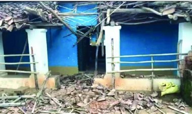 दंतैल हाथी ने जमकर मचाया उत्पात, दहशत में कटी ग्रामीणों की रात